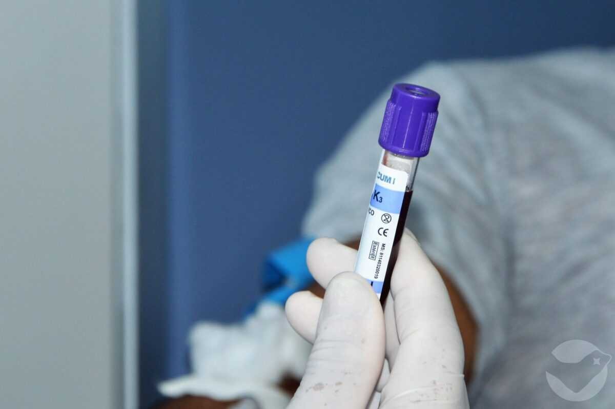 desembarque alagoas uncategorized 06