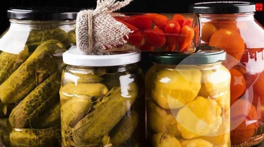 desembarque alagoas uncategorized 15