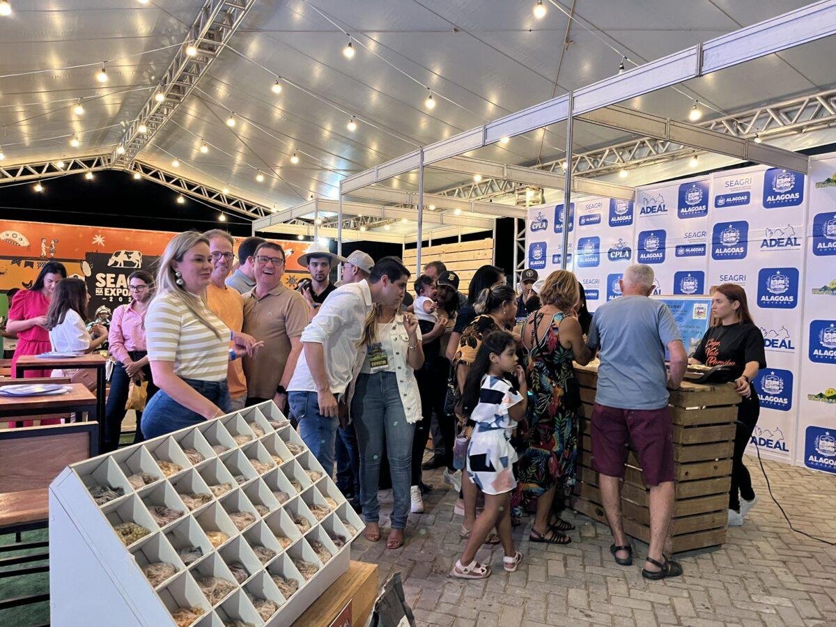 desembarque alagoas uncategorized 193