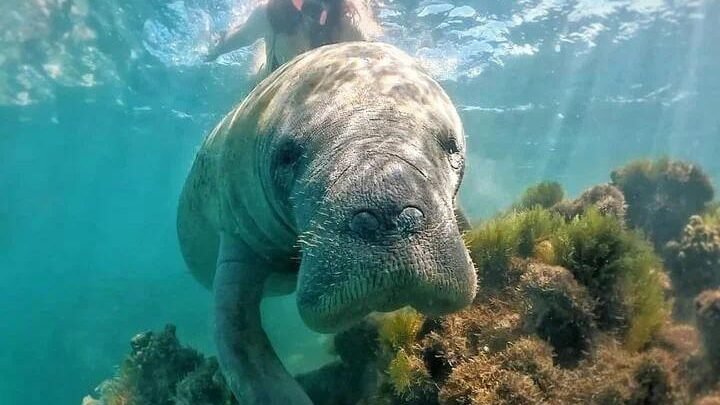 desembarque alagoas uncategorized 201