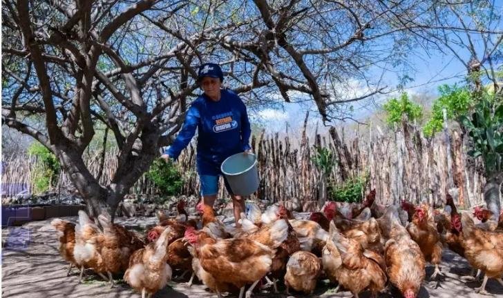 desembarque alagoas uncategorized 229