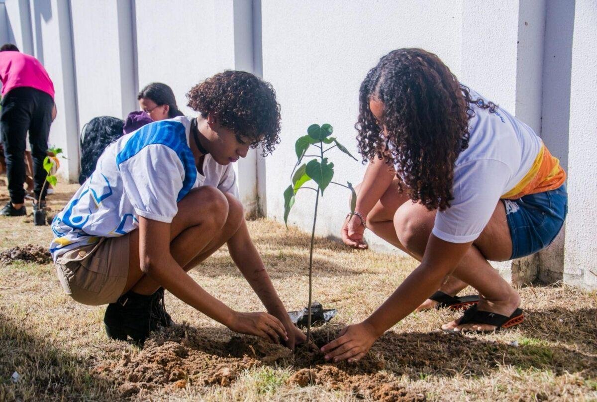 desembarque alagoas uncategorized 240