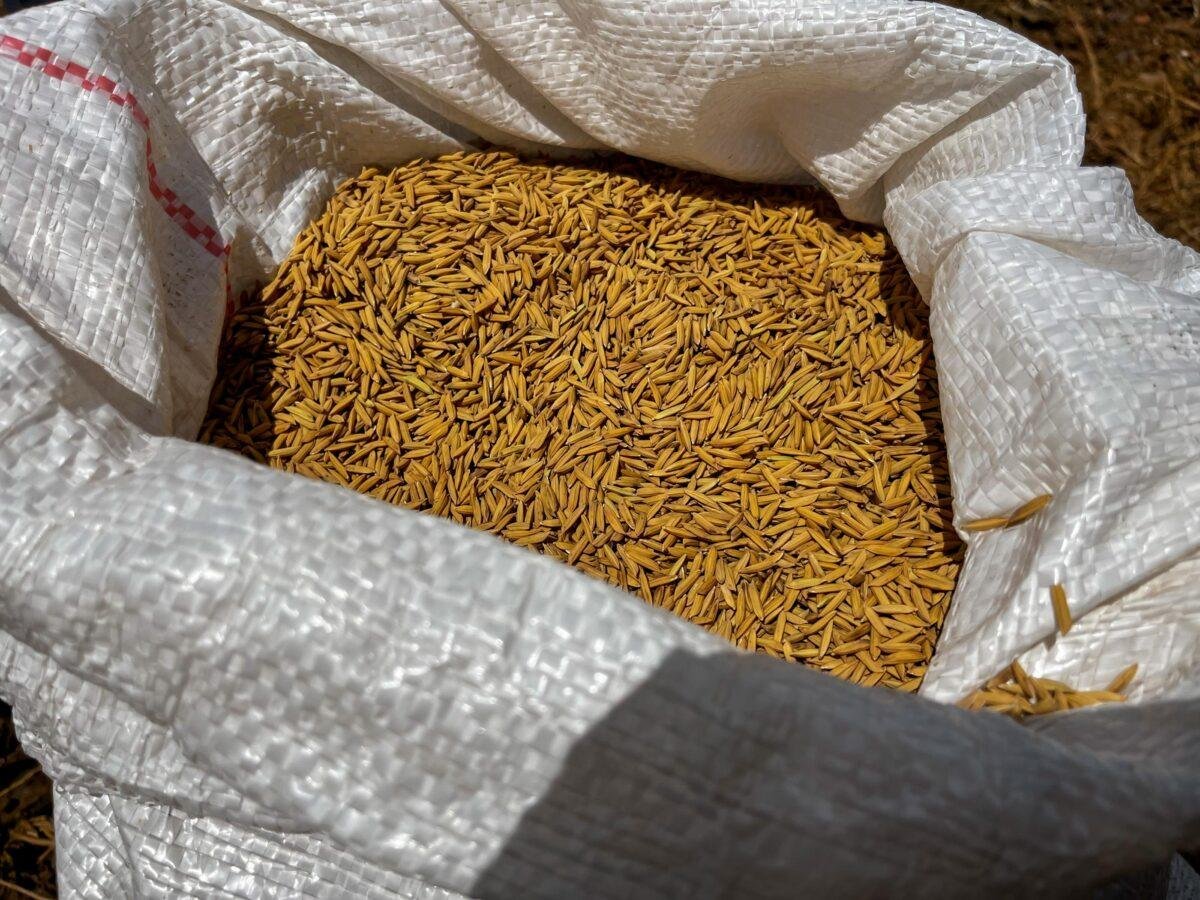 desembarque alagoas uncategorized 98