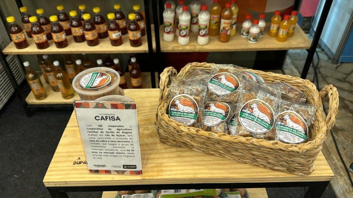 desembarque alagoas uncategorized 275