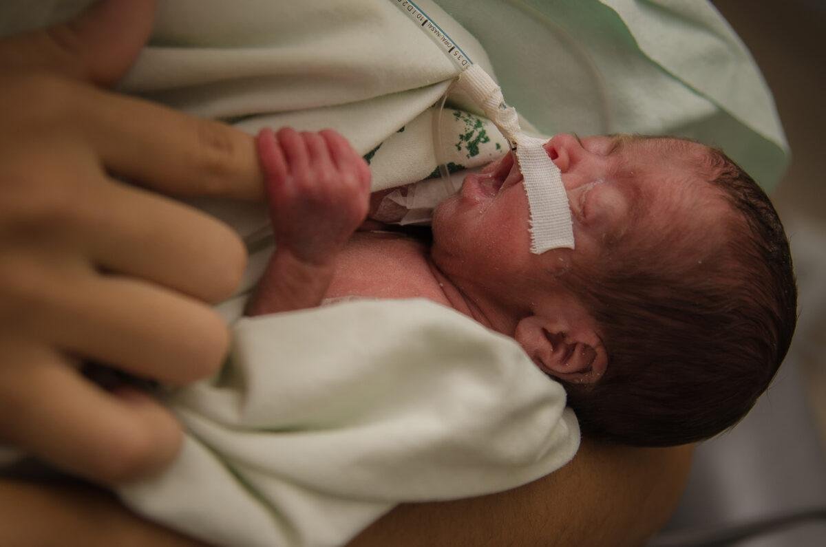 desembarque alagoas uncategorized 413