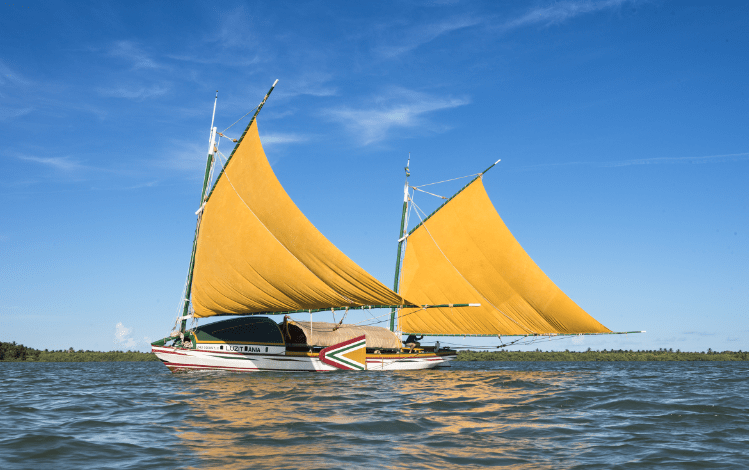 desembarque alagoas uncategorized 488