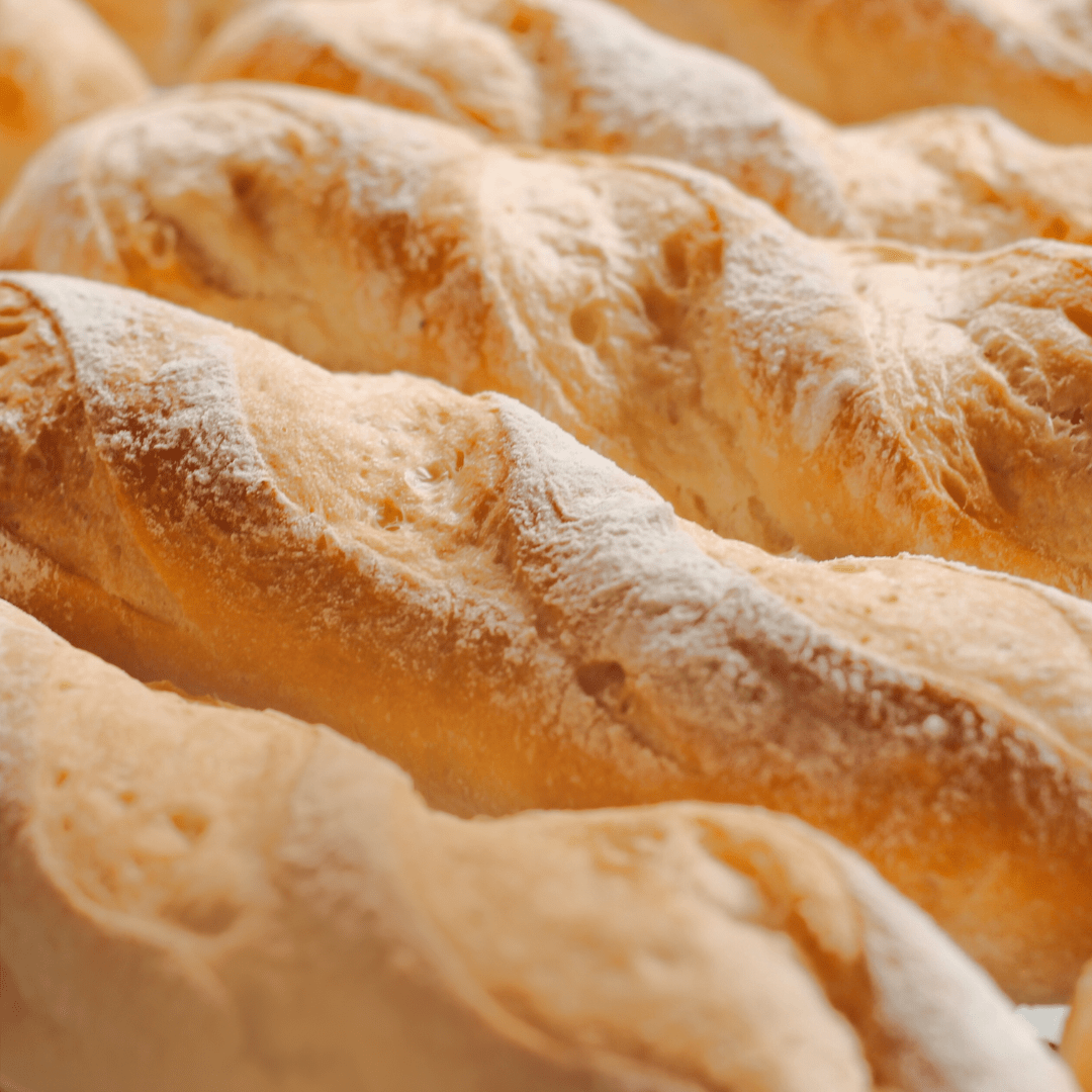 desembarque alagoas uncategorized 528