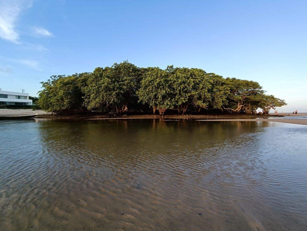 desembarque alagoas uncategorized 560