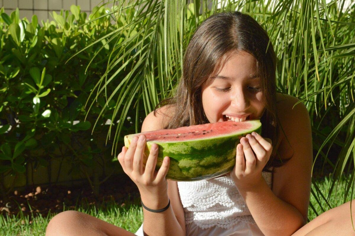 desembarque alagoas uncategorized 566