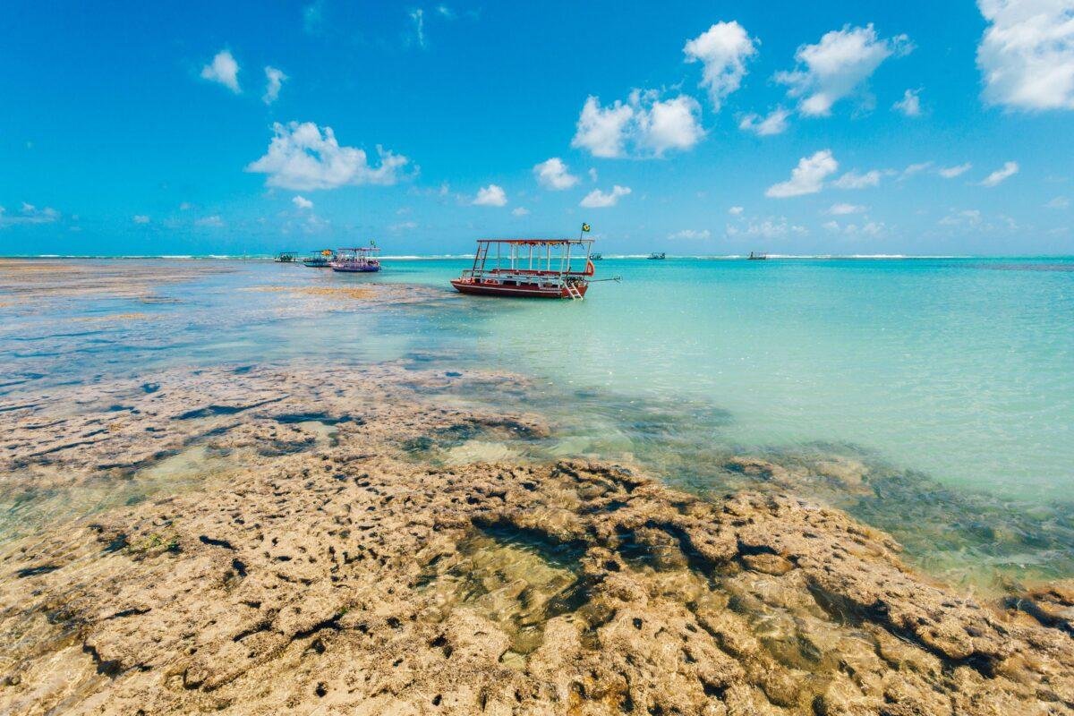 desembarque alagoas uncategorized 605