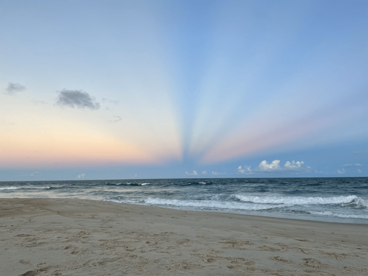 desembarque alagoas uncategorized 609