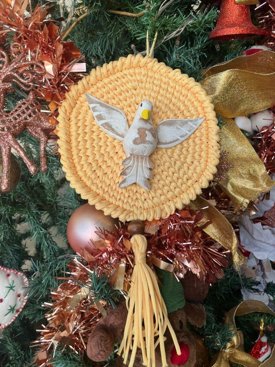 desembarque alagoas uncategorized 613