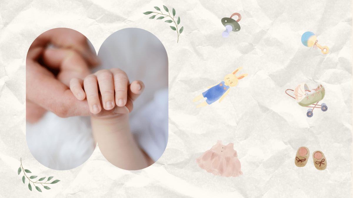 desembarque alagoas uncategorized 624