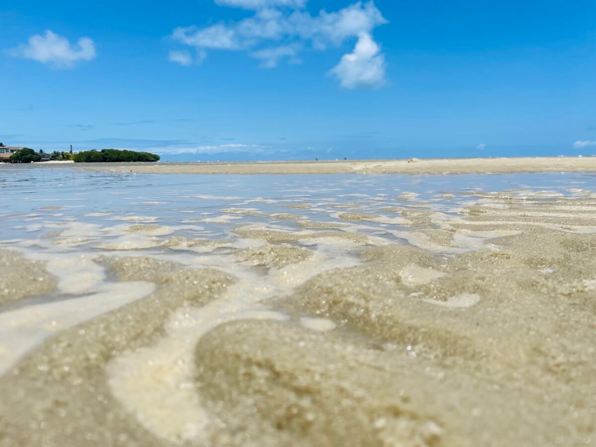 desembarque alagoas uncategorized 630