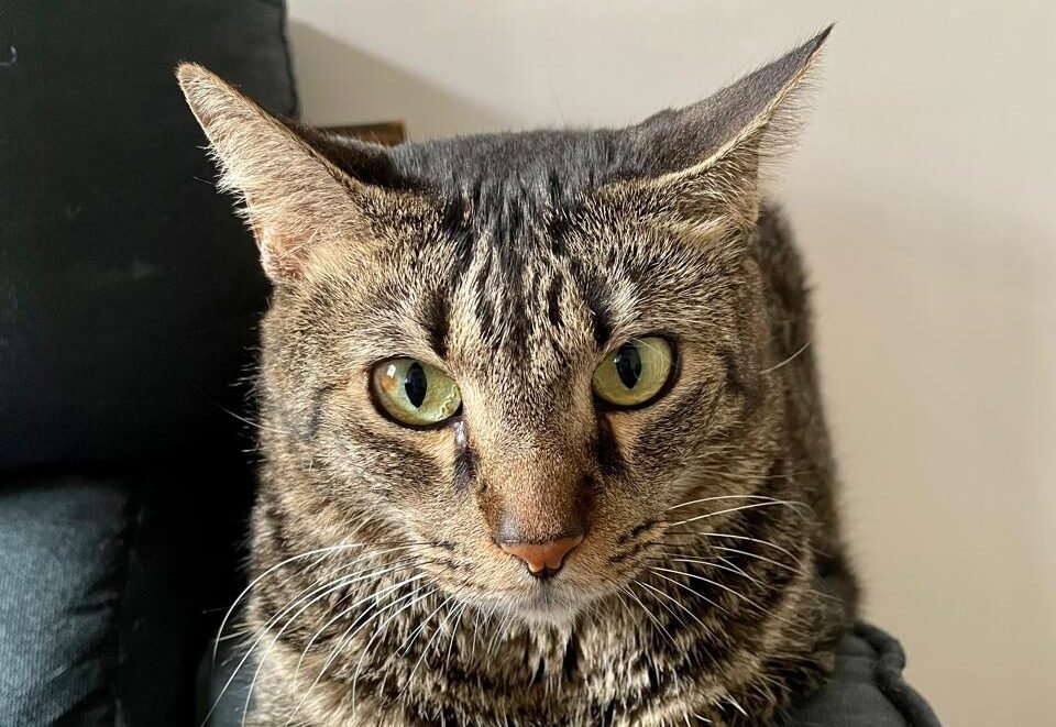 desembarque alagoas uncategorized 646