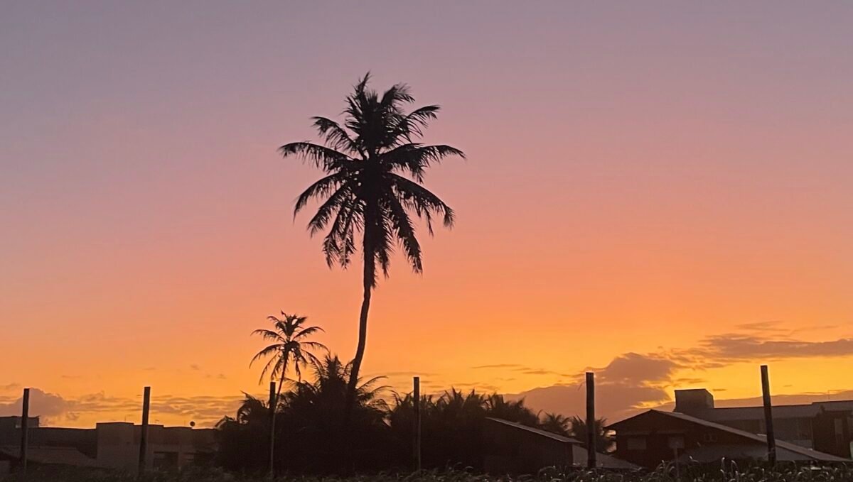 desembarque alagoas uncategorized 675