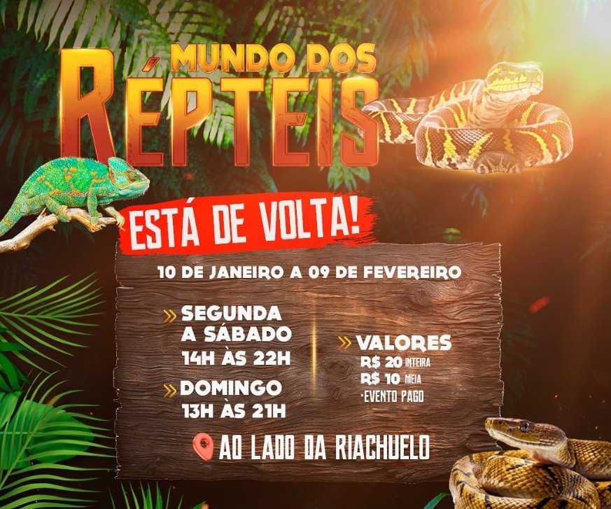 desembarque alagoas uncategorized 709