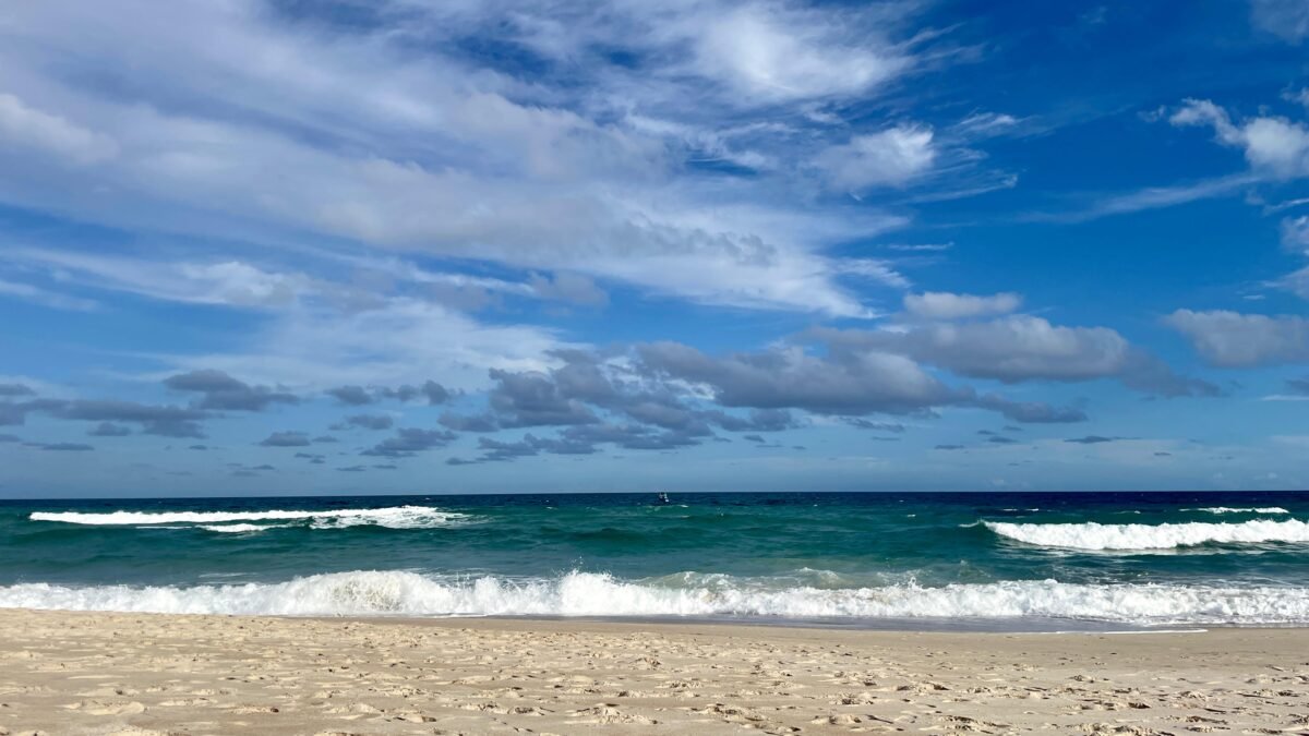 desembarque alagoas uncategorized 719