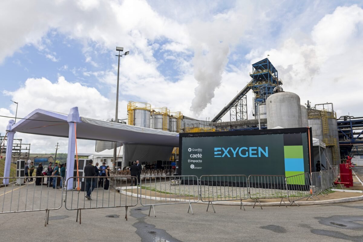 desembarque alagoas uncategorized 741