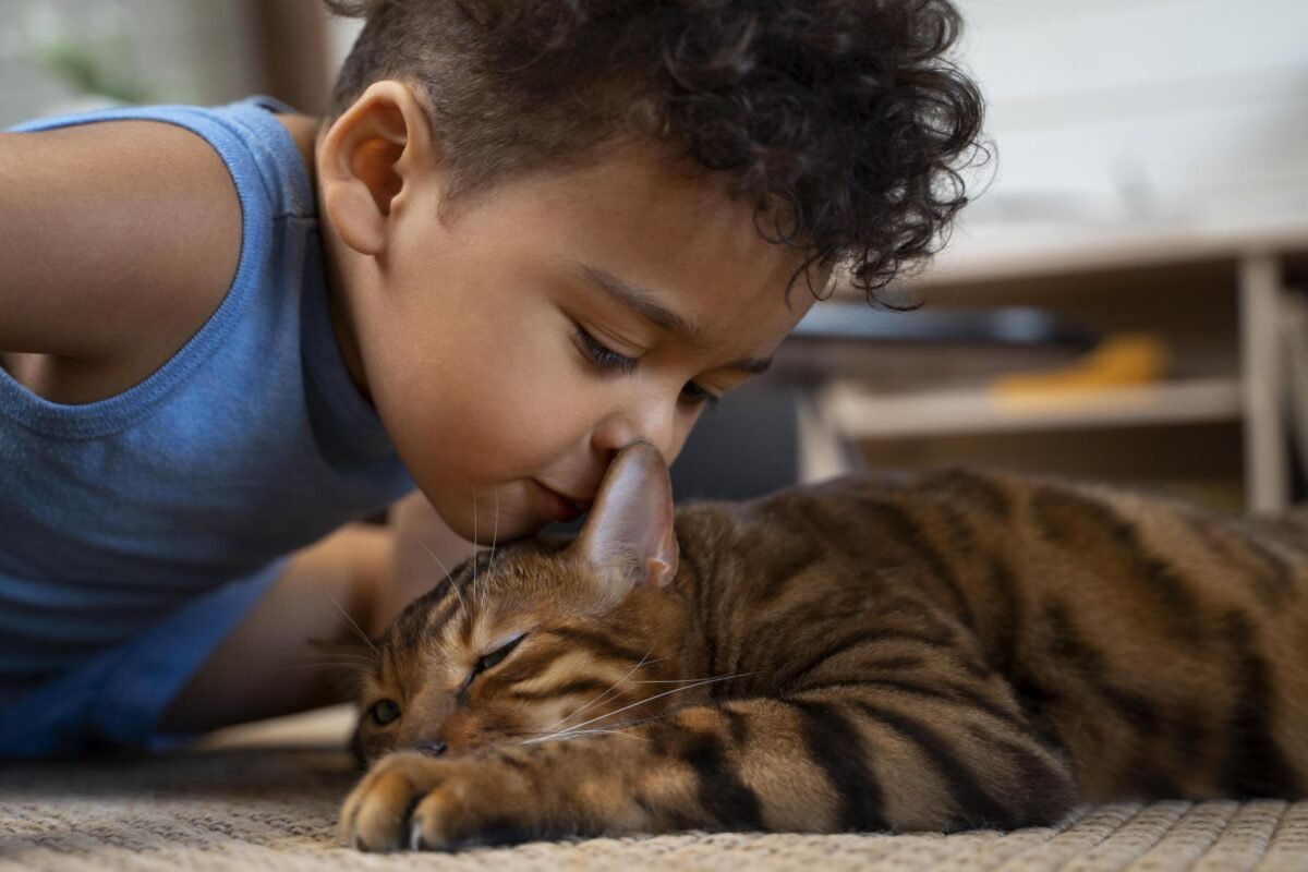 desembarque alagoas uncategorized 795