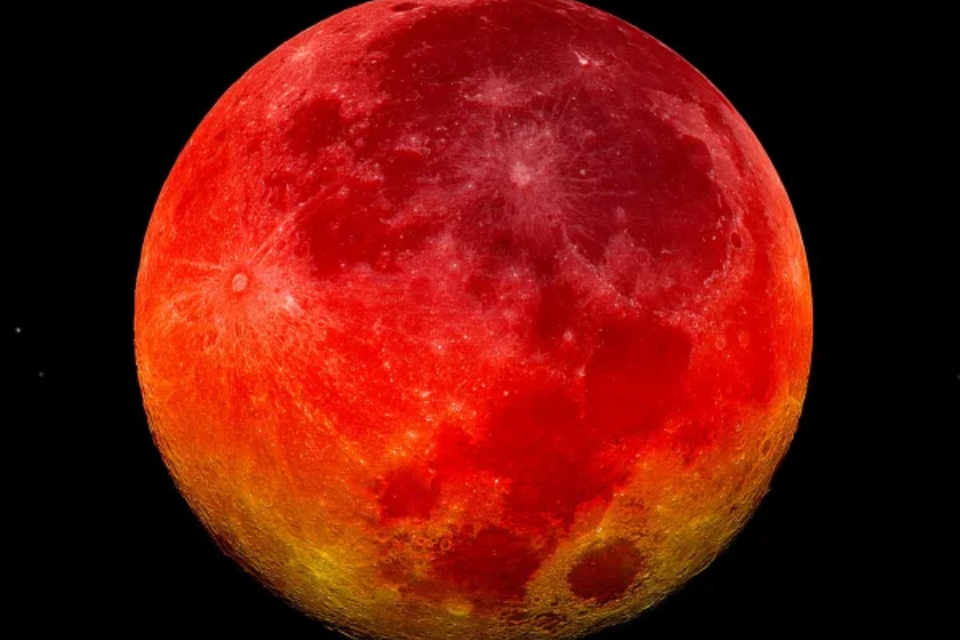 desembarque alagoas uncategorized 876