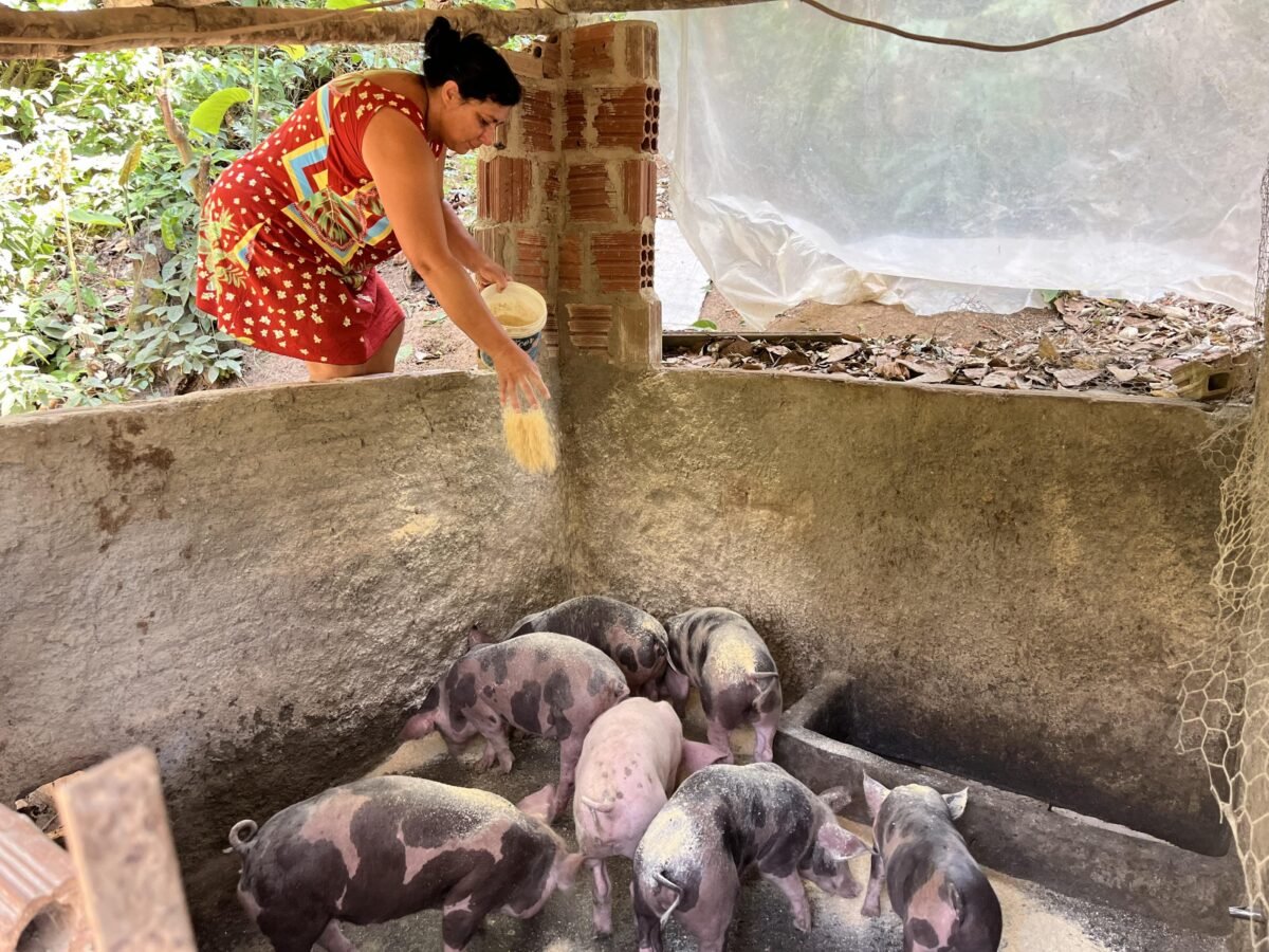 desembarque alagoas uncategorized 877