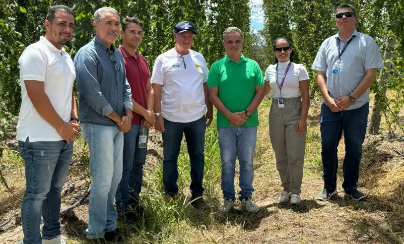 desembarque alagoas uncategorized 900