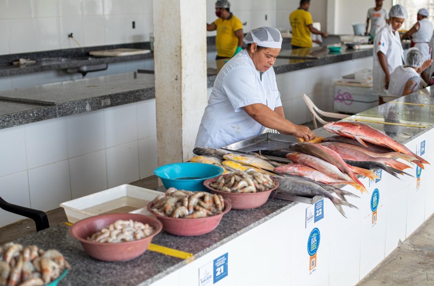 desembarque alagoas uncategorized 932