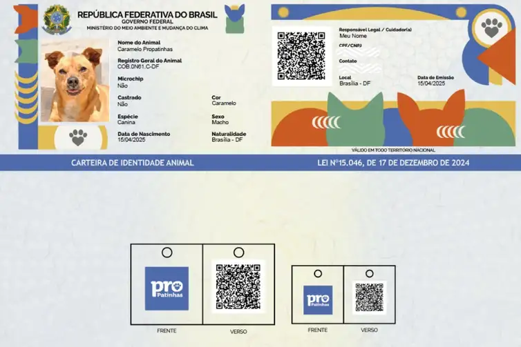 desembarque alagoas uncategorized 950