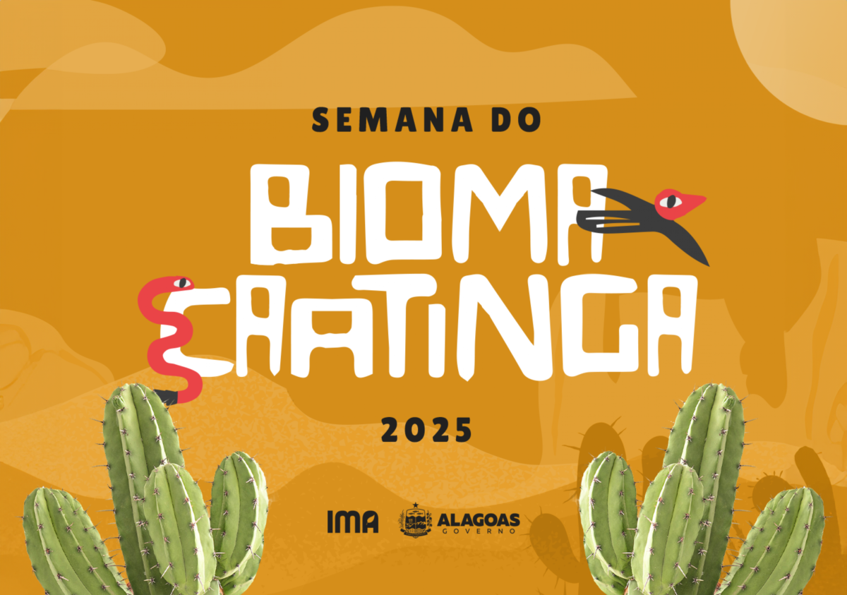 desembarque alagoas uncategorized 955