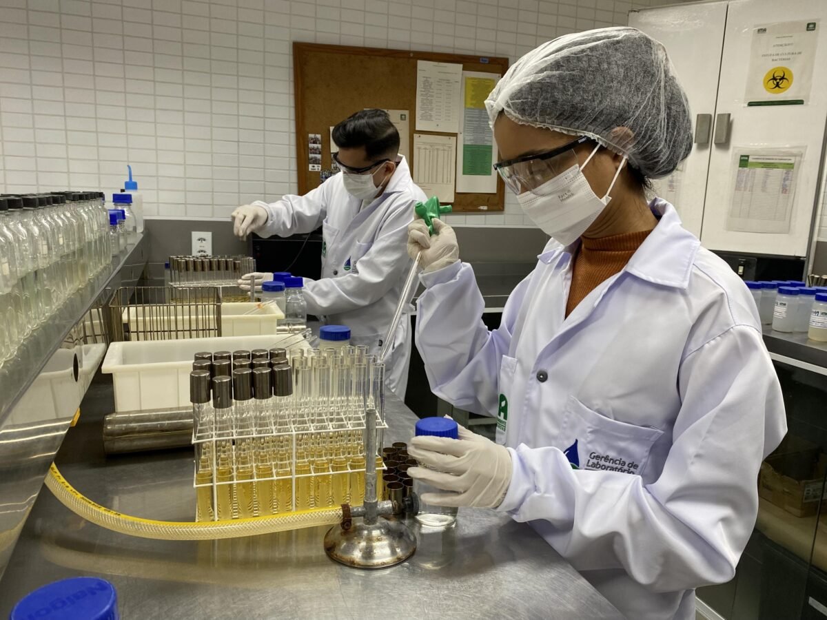 desembarque alagoas uncategorized 1004