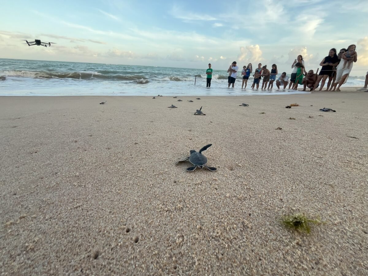 desembarque alagoas uncategorized 976