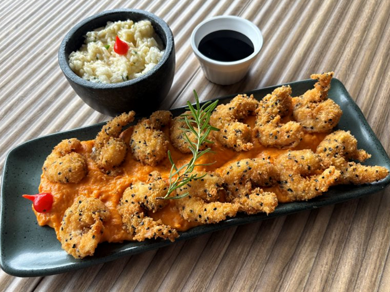 desembarque alagoas uncategorized 987