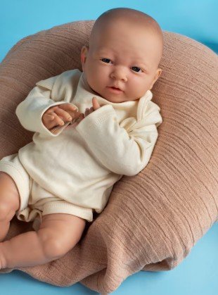 desembarque alagoas uncategorized 989